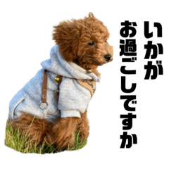 [LINEスタンプ] リク(170)