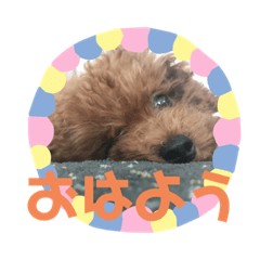 [LINEスタンプ] MOCO(173)