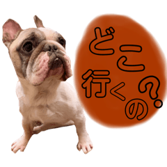 [LINEスタンプ] 俺らのスパイク