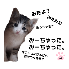 [LINEスタンプ] ねこのナゴヤだよ