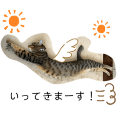 [LINEスタンプ] ネコとイヌのいる生活
