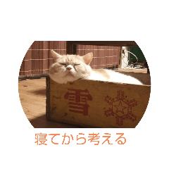 [LINEスタンプ] 漱石シリーズ
