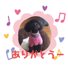 [LINEスタンプ] あん(176)