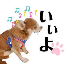 [LINEスタンプ] ジジ使えるスタンプ♪