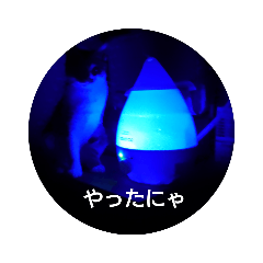 [LINEスタンプ] どんぐりゃーらいふ4