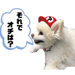 [LINEスタンプ] 毒づく犬。ごく稀に天使