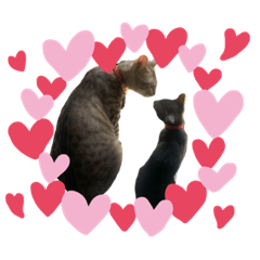 [LINEスタンプ] しんばのりたまらら