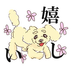 [LINEスタンプ] プードルと黒猫の日常
