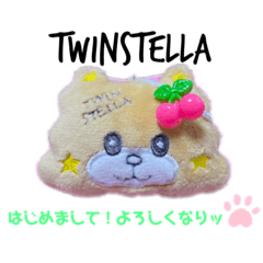 [LINEスタンプ] ⭐︎TWINSTELLA⭐︎
