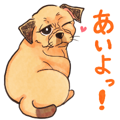 [LINEスタンプ] パグっぽい犬