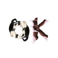 [LINEスタンプ] 猫12匹のスタンプ