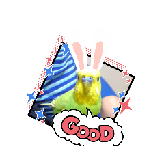 [LINEスタンプ] インコちゃん3