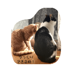 [LINEスタンプ] ねこたんねこまんオリジナルスタンプ第9段