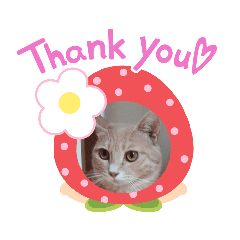 [LINEスタンプ] nekomakitvオリジナルスタンプ第10段目