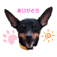 [LINEスタンプ] Mini pin stamp