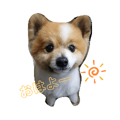 [LINEスタンプ] 陸＆空くん一家