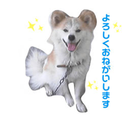 [LINEスタンプ] スナの日常
