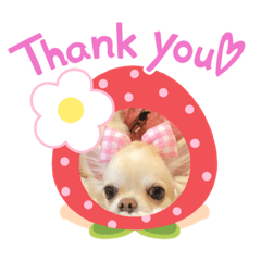 [LINEスタンプ] りおのあコロニー❤️1きゅん❤️