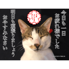 [LINEスタンプ] トムくんのはんこ4番