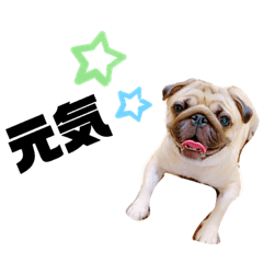 [LINEスタンプ] ルル（3）