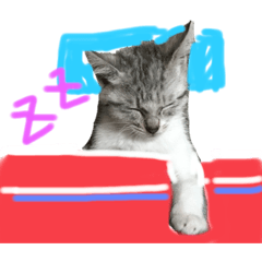 [LINEスタンプ] 茶々丸^_^の画像（メイン）