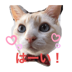 [LINEスタンプ] Otokithi stamp