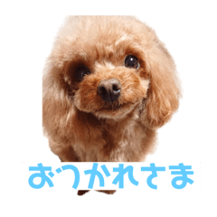 [LINEスタンプ] エル(191)