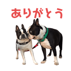 [LINEスタンプ] おにぎり(179)