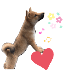 [LINEスタンプ] 子犬の愛芽ちゃん