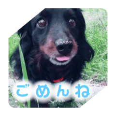 [LINEスタンプ] ココ♡ナッツ♡パル