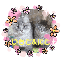 [LINEスタンプ] モコイヴそら12