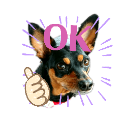 [LINEスタンプ] ミニピンCoCo