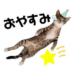 [LINEスタンプ] ちゃびのひとこと