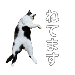 [LINEスタンプ] のづけ