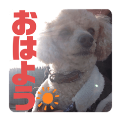 [LINEスタンプ] ViViちゃんのスタンプ@