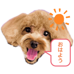 [LINEスタンプ] もふもふのお友達ペコ