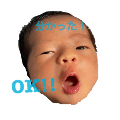 [LINEスタンプ] るいとうスタンプ