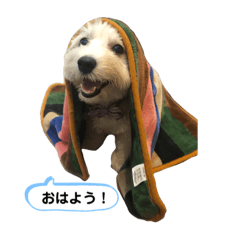 [LINEスタンプ] マルックス とら