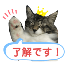 [LINEスタンプ] 子猫のシフォン様その②