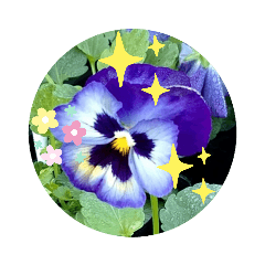 [LINEスタンプ] お花スタンプ3