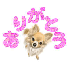 [LINEスタンプ] ミルメル パッチワーク3