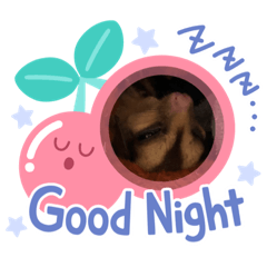 [LINEスタンプ] モモンガ こじろう
