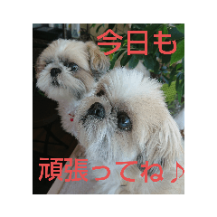 [LINEスタンプ] おぉ＆うぅ応援団