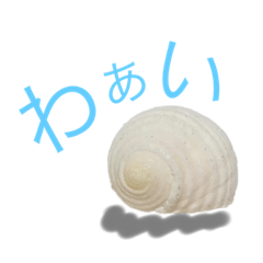 [LINEスタンプ] 貝がらで…2