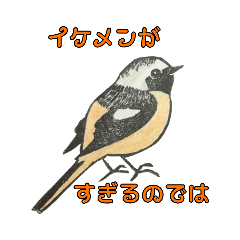 [LINEスタンプ] 野鳥はんこスタンプ