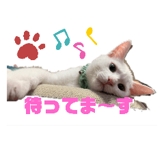 [LINEスタンプ] ヤエ猫