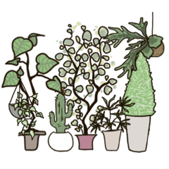 [LINEスタンプ] レース越しの明るい窓際で、