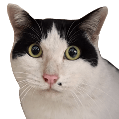 [LINEスタンプ] でれこ