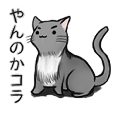 [LINEスタンプ] 尊大な猫