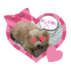 [LINEスタンプ] 10代が使う言葉